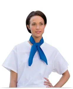 Customize V-Neck Cook Shirt