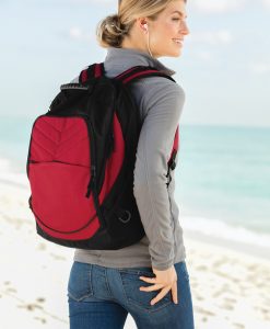 Alternative view of Computer Backpack