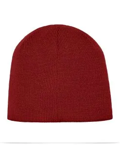 Alternative view of The North Face Mountain Beanie