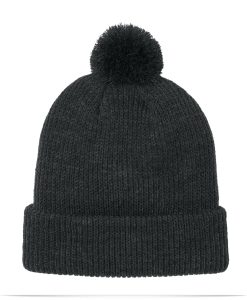 Alternative view of The North Face Pom Beanie